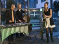 Trio mit Vibraphon